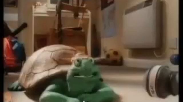 1990 Heat Electric Turtle Interview смотреть онлайн