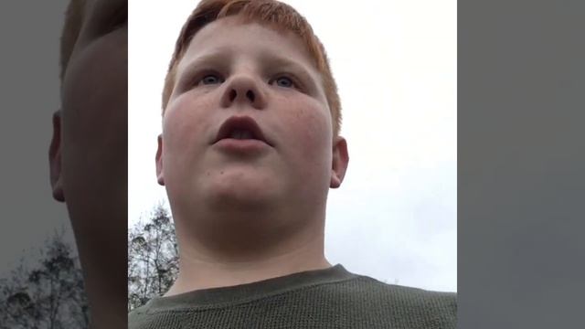 Blood track tutorial with two dogs смотреть онлайн