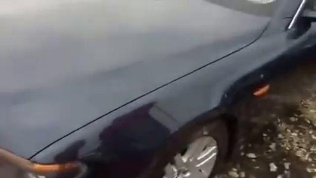 Автомобили в Польше стоимость смотреть онлайн