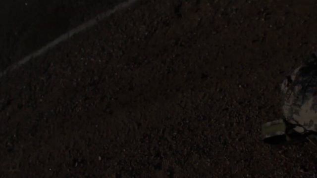 Путешествие Автостопом из Владивостока в Москву (2017) смотреть онлайн