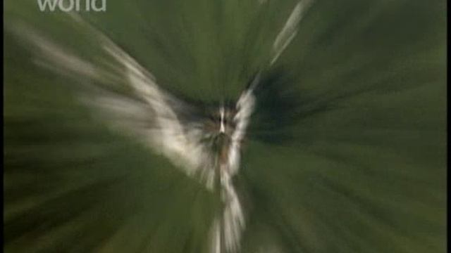 Gory смотреть онлайн