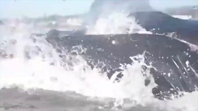 На Камеру Попало ТАКОЕ, Что Нужно Обязательно Увидеть! смотреть онлайн