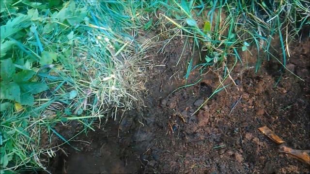 КУЧА ПРЕДМЕТОВ СТАРИНЫ. ФИШЕР F70. ШУРФ. ЧАСТЬ 3 №47 смотреть онлайн