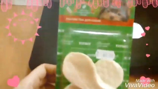 Hool#: покупки для собаки### смотреть онлайн