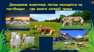 ЧТО ВЫ ЗНАЕТЕ О ЛЕТЕ?