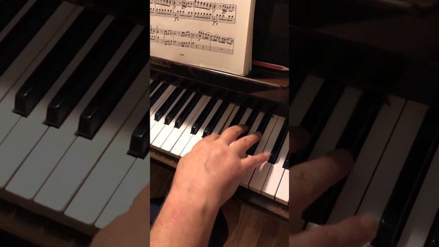 Mozart Sonata 5 G dur K.283, 1 movement Пульс, микроартикуляция, инструментовка,полифония смотреть онлайн