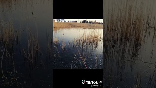 озеро касарги май 2021 смотреть онлайн