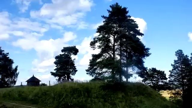 Нелли Хакель стихи А.С. Пушкина "Няне".Рига, Латвия, 2014 смотреть онлайн