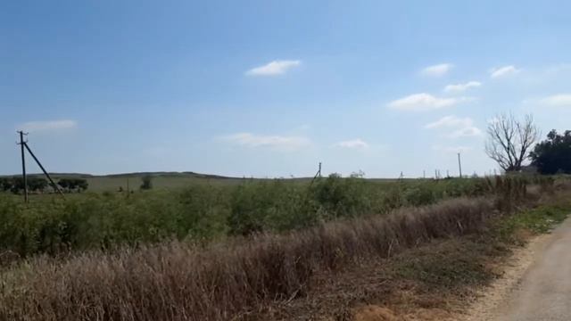 Черная Тамань смотреть онлайн