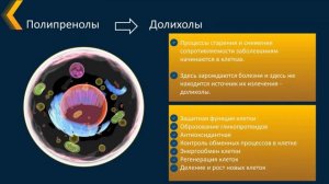 СеллГенетикс на страже Здоровья !