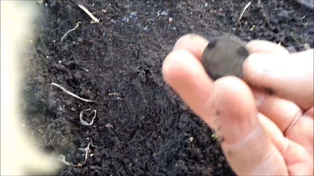 Что можно найти в огороде с металлоискателем смотреть онлайн