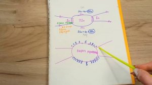 КАК СВЯЗАТЬ СВИТЕР ПАУТИНКУ РЕГЛАНОМ СВЕРХУ. Подробное описание работы.