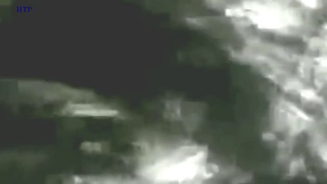 Giant ANACONDA attacks TIGER - Animal Fight Python vs Tiger vs Jaguar Real Fight 2015 смотреть онлайн
