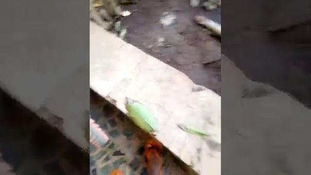 Hero next sprint review смотреть онлайн