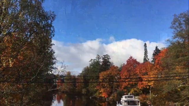 Велошенген 2019 6110 км велосипеда и 510 участников поездок смотреть онлайн