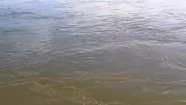 Течет река Иртыш.The River Irtysh Flows.