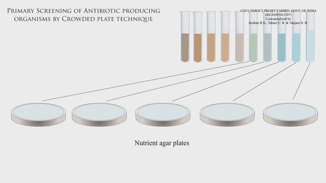 2 Primary screening of antibiotic producing microbes смотреть онлайн