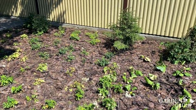 Обзор участка загородного дома: концепция сада и названия растений. Ландшафтный дизайн участка смотреть онлайн