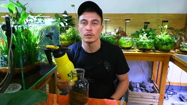 ТЕРРАРИУМ С СОВОЙ ?. ДЕЛАЕМ ВМЕСТЕ ! | OWL TERRARIUM TUTORIAL смотреть онлайн