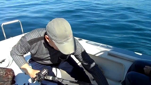 Морская рыбалка с катера в Уссурийском заливе (Владивосток): полный аквариум рыбы (камбала, минтай) смотреть онлайн