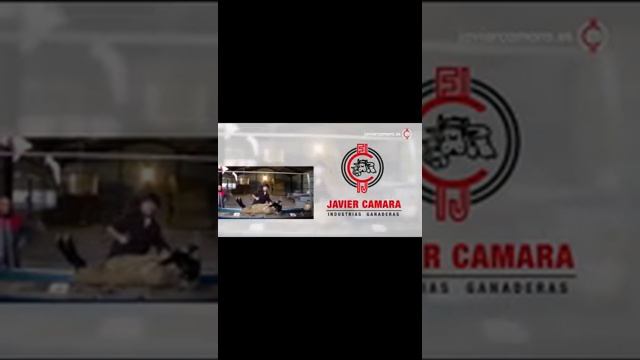 Проект фермы овец ПРОЕКТЫ фермы коз / Импортное оборудование от Шипмастер.ру 2022: комплектация фер