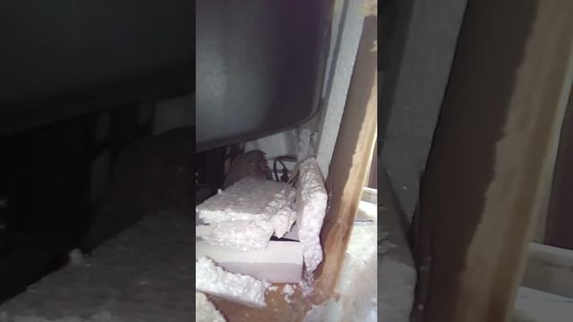 Дикие осы.Задача-не убить.Сохранить ульи. смотреть онлайн