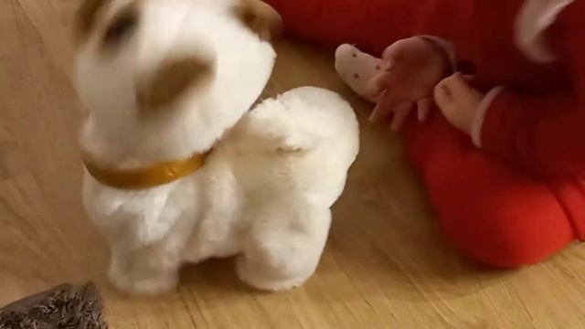 Pets Alive Poppy Der Popo Wackelnde Mops