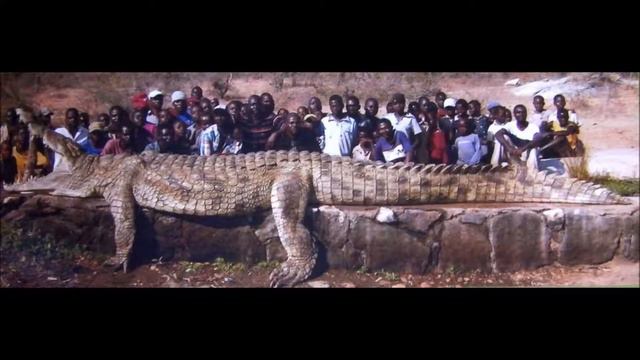 Самые большие животные в мире 6 смотреть онлайн