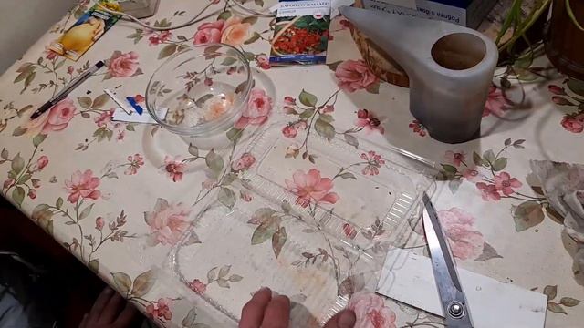 Сіємо на розсаду насіння цибулі "Ексібішен", капусти "Етма" F1, суниці "Барон Солемахер" та квіти. смотреть онлайн