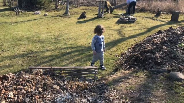 Дача влог 1. Купили дачу со всем содержимым.КУПИЛИ СЕБЕ ДАЧУ ДЛЯ ОТДЫХА.Как собирать березовый сок. смотреть онлайн