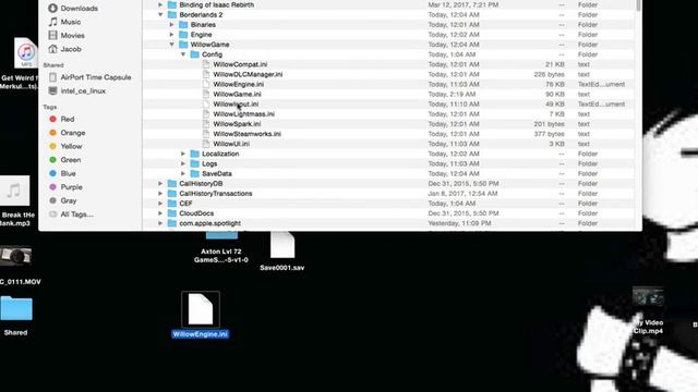 How to remove Cell Shading and Black lines From Borderlands 2 on Mac and Pc смотреть онлайн