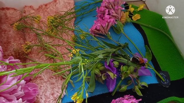 Тонкие и ароматные блины