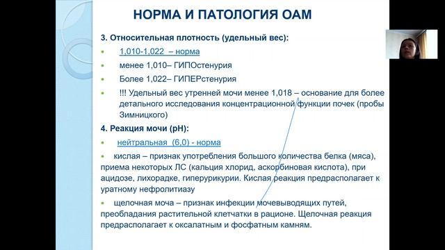 Строение и физиология почки. Кунгурцева М. Ю. смотреть онлайн