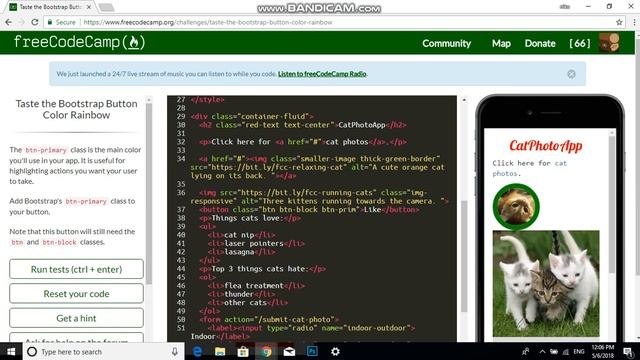 Taste the Bootstrap Button Color Rainbow free code camp смотреть онлайн