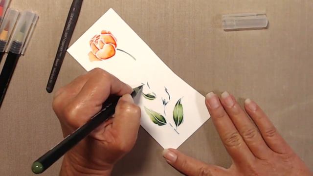 Honey Bee Stamps - Spring Peony - I Bought Aretza Real Brush Pens смотреть онлайн
