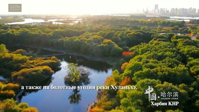 Харбин - важнейший город северо-востока Китая [Age0+] смотреть онлайн