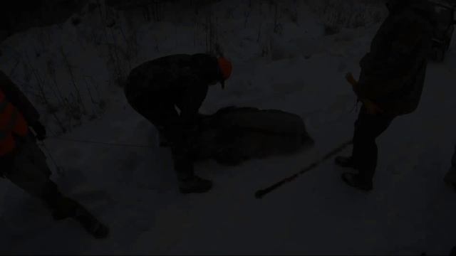 Актуален ли ТОЗ 34 Сегодня? // Охота с Тоз 34 смотреть онлайн