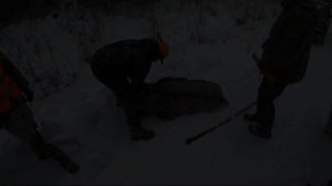 Актуален ли ТОЗ 34 Сегодня? // Охота с Тоз 34