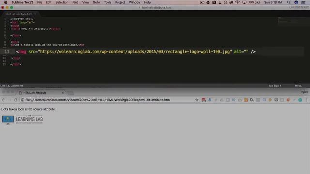 HTML ALT Attribute Is Used To Add Metadata To Some HTML Elements смотреть онлайн