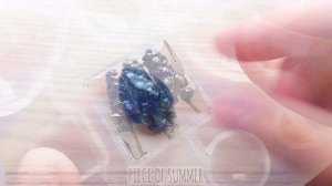 ?ЗАЛИВАЮ ЛЕТНИЕ УКРАШЕНИЯ ИЗ СМОЛЫ И ЦВЕТОВ?Эпоксидная смола ArtLine?PIECE OF SUMMER?