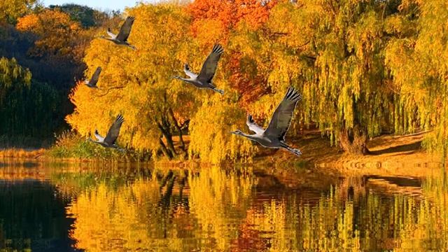 осень смотреть онлайн
