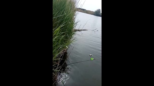 Рыбалка на пруду. Море рыбы. смотреть онлайн