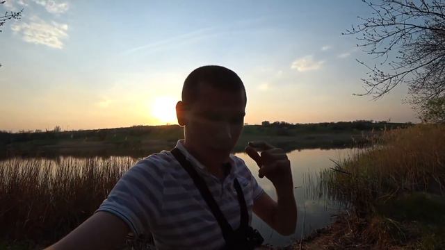 КАРАСЬ и КАРП ЛОМАЕТ камыши и РВЕТ ЛЕКСКУ! Рыбалка на поплавок и фидер. смотреть онлайн