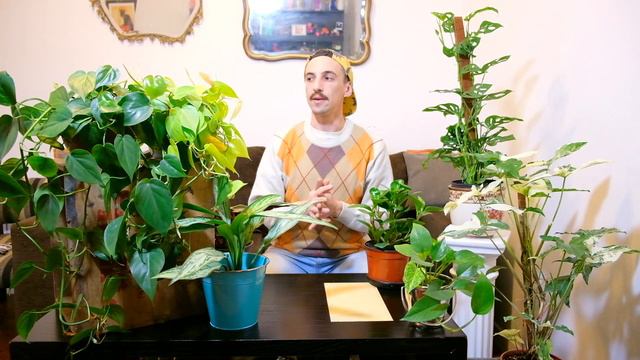 #3 CUIDANDO Algunas ESPECIES de PLANTAS - 11 Variedades смотреть онлайн