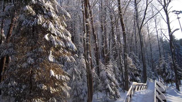 Горнолыжный комплекс Силичи смотреть онлайн