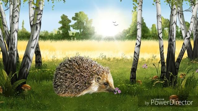 Звуки диких Животных леса России для малышей. Развивающий мультик. смотреть онлайн