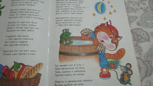 КРУГЛЫЙ КОТ смотреть онлайн