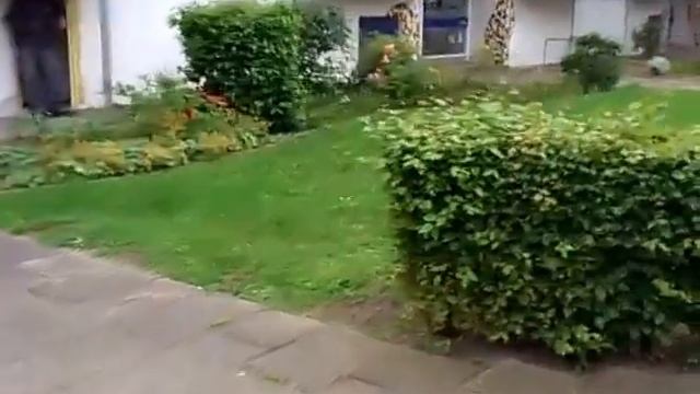 Полисадники в Германии - 15. смотреть онлайн