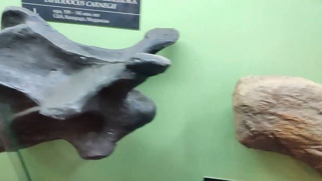 Музей палеонтологии, Мураши и путь домой (4/4) смотреть онлайн