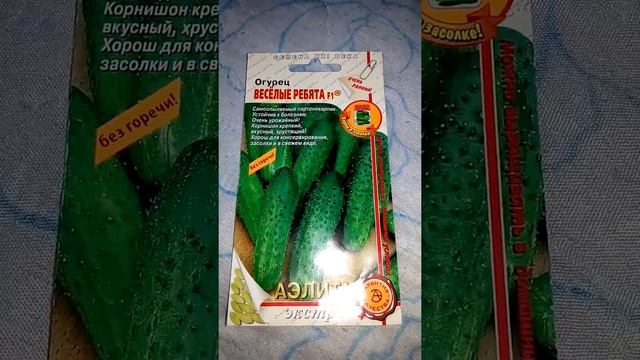 Огурец Веселые ребята- очень ранний и самоопыляемый, описание и ознакомление смотреть онлайн